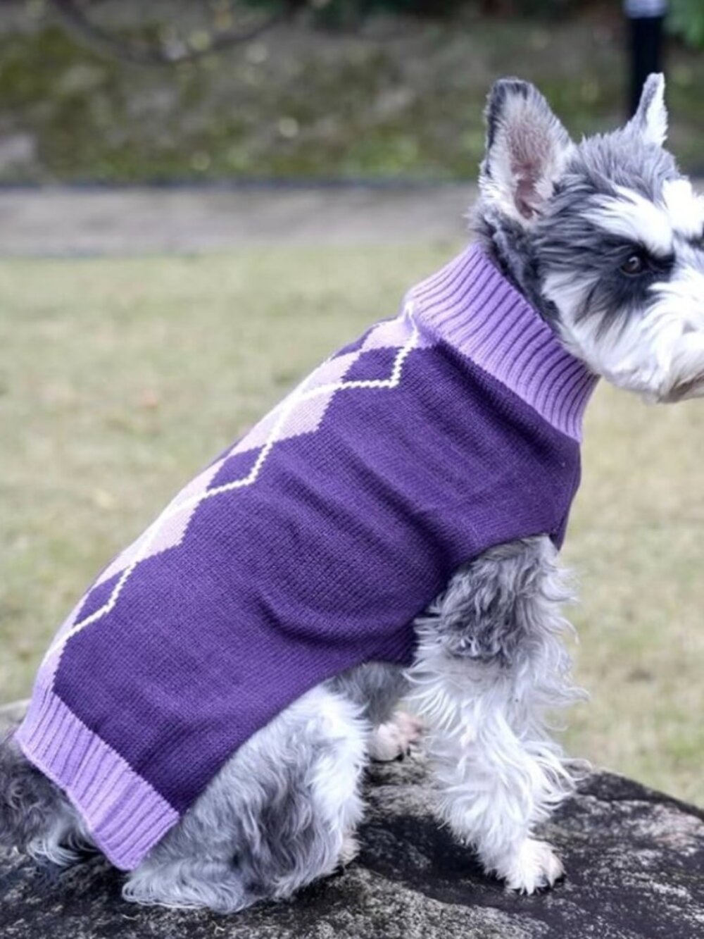 NEW Knit Pet Sweater
